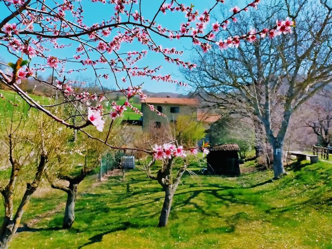 B&B Luna e Stelle Premilcuore Exterior foto