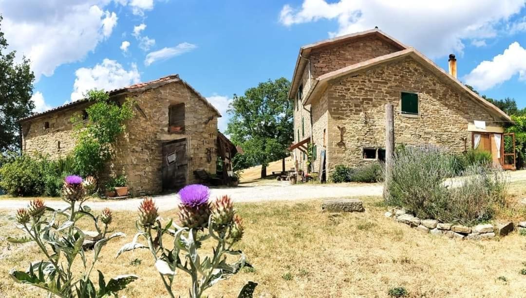 B&B Luna e Stelle Premilcuore Exterior foto