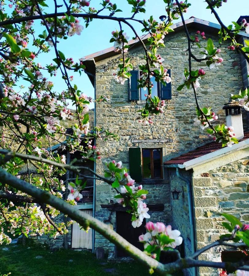 B&B Luna e Stelle Premilcuore Exterior foto